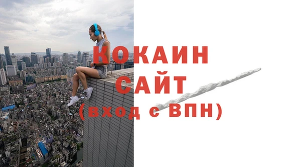 индика Бородино