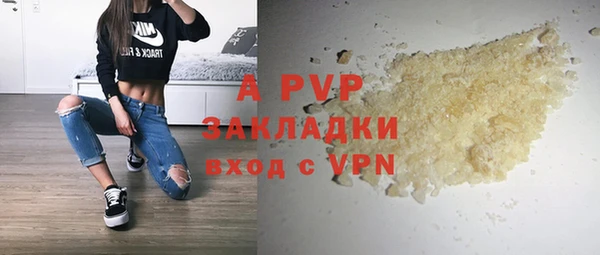 индика Бородино