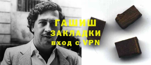 индика Бородино