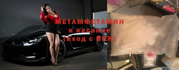 индика Бородино