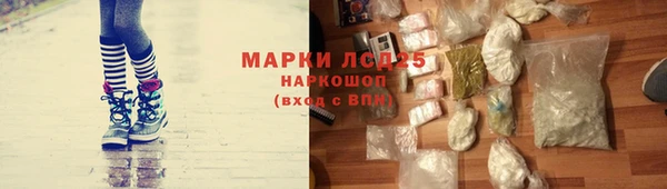 индика Бородино