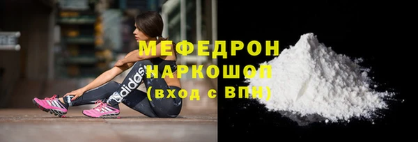 индика Бородино