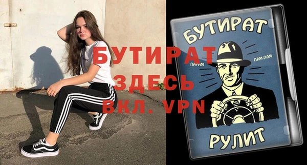 индика Бородино