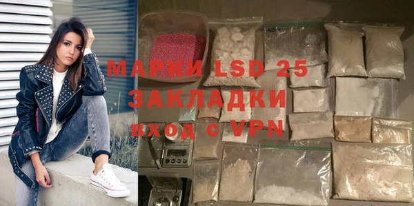 индика Бородино