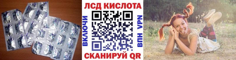 наркошоп  Городовиковск  Лсд 25 экстази кислота 