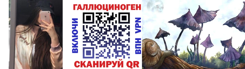 Галлюциногенные грибы Magic Shrooms  Городовиковск 
